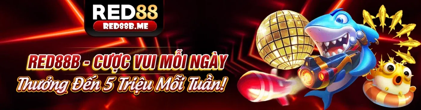 Cá cược trực tiếp web kubet